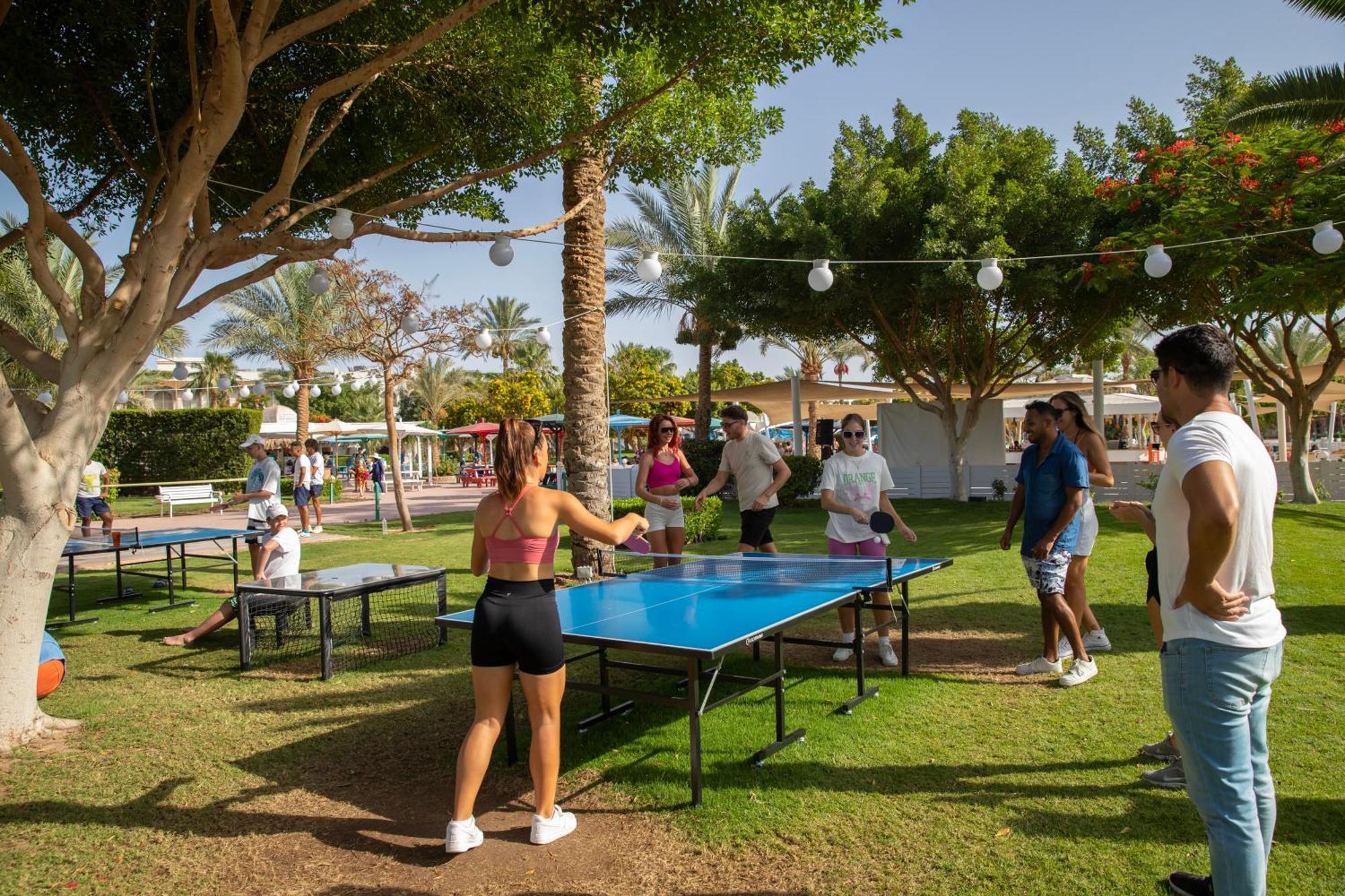 Desert Rose Complex Hurghada